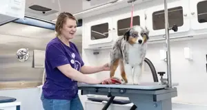 Woofie's Pet Ventures