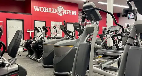 World Gym Franchise Cost, Fees, Opportunity