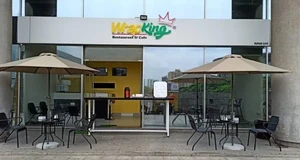 WrapKing Franchise Cost, Fees, Opportunities