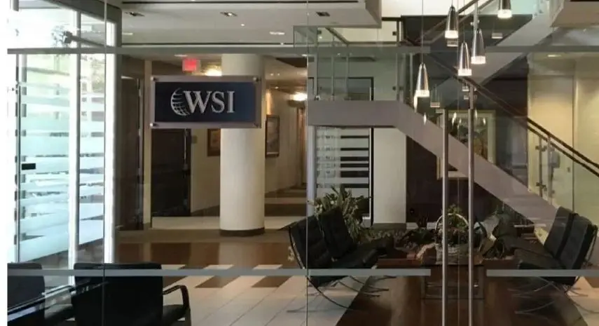 WSI Franchise for Sale | digital marketing