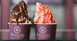 Yoga-urt Franchise Cost, Fees & Opportunities