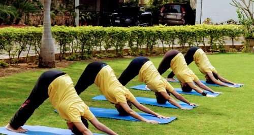 Yogasthali Yoga Society Franchise Cost, Fees, Opportunity