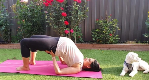 Yogasthali Yoga Society Franchise Cost, Fees, Opportunity