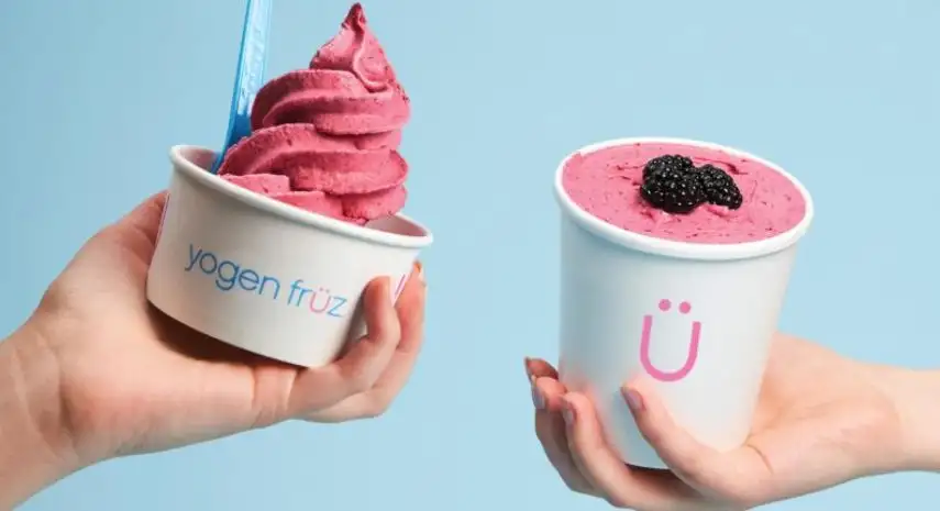 Yogen Früz Canada Franchise Opportunity image 2