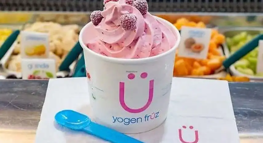 Yogen Früz Canada Franchise Opportunity image 3