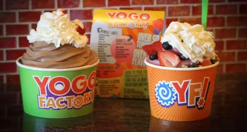 YoGo Factory Franchise Cost, Fees & Opportunities image 3