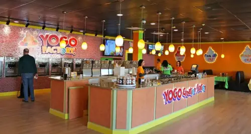 YoGo Factory Franchise Cost, Fees & Opportunities