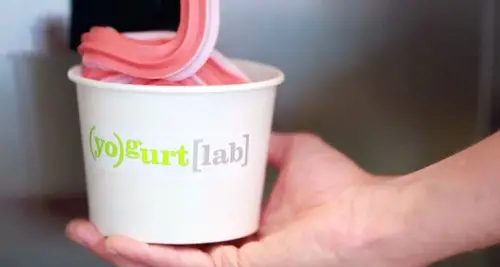 Yogurt Lab Franchise Cost, Fees & Opportunities