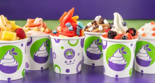 Yogurt Mountain Franchise Cost, Fees & Opportunity image 3