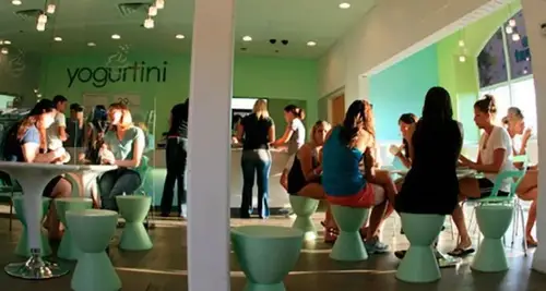 Yogurtini Franchise Cost, Fees & ROI Opportunity image 3