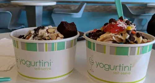 Yogurtini Franchise Cost, Fees & ROI Opportunity image 4