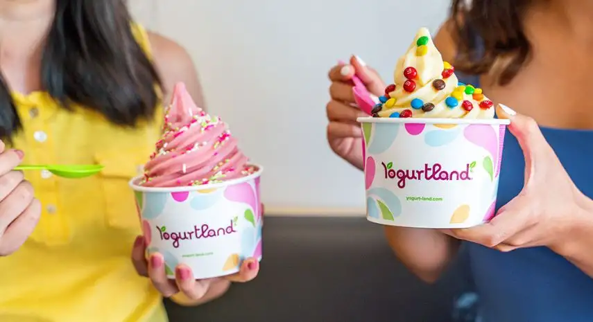 Yogurtland Franchise Opportunity