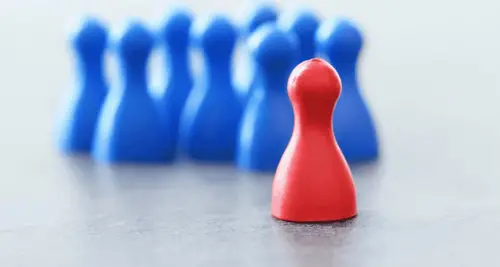 yorCMO Franchise Cost, Fees & Opportunities