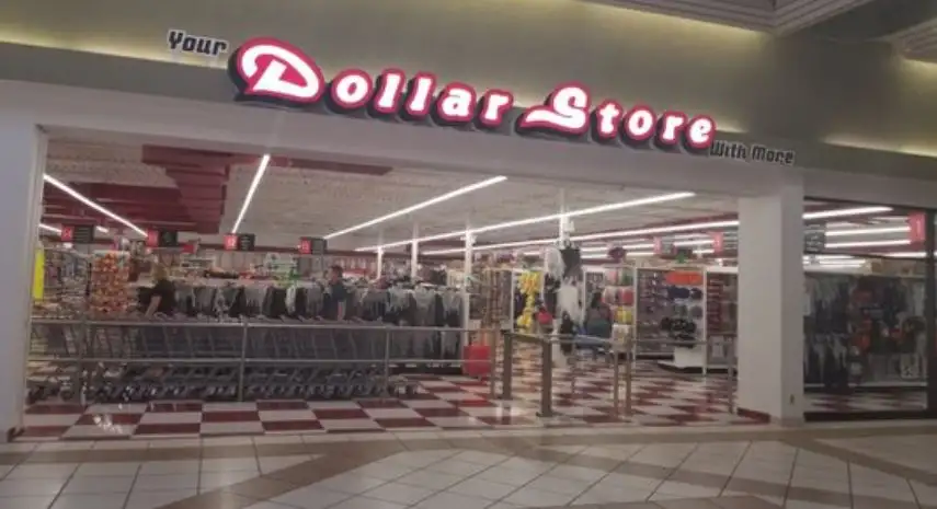 Your Dollar Store With More Canada Franchise For Sale image 3