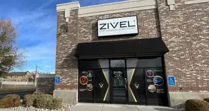 Zivel Franchise Franchise Cost, Fees & Opportunities