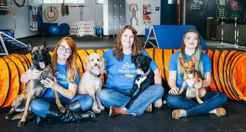 Zoom Room Franchise Opportunity image 4