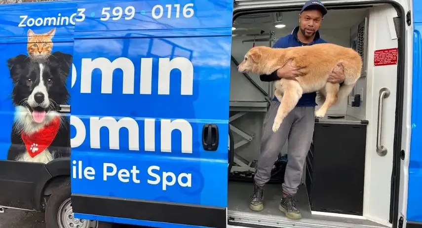 Zoomin Groomin Franchise Opportunity